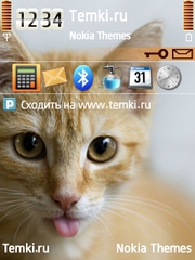 Рыжая кошка для Nokia 5500