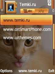 Скриншот №3 для темы Рыжая кошка