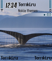 Кит для Nokia N72