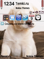 Милашка лабрадор для Nokia N96-3