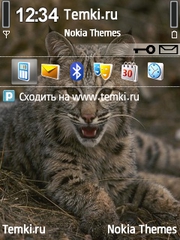 Степной житель для Nokia N77