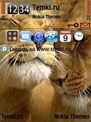 Милые львы для Nokia E61i