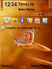Бабочка для Nokia 6760 Slide