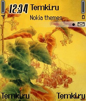 Заросли для Nokia N90