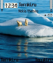 Белые медведи для Nokia N90