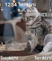 Скриншот №1 для темы Кошка с лентой