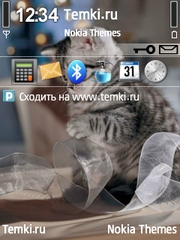 Кошка с лентой для Nokia 6120