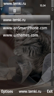 Скриншот №3 для темы Кошка с лентой