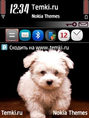 Собачка для Nokia 5500