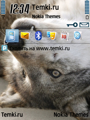 Волк для Nokia 5700 XpressMusic