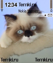 Кошачья мордочка для Nokia 6630