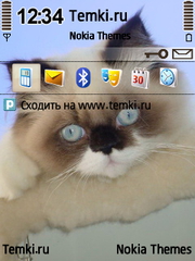 Кошачья мордочка для Nokia N76