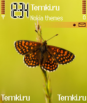 Бабочка для Nokia 7610