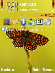 Бабочка для Nokia E52