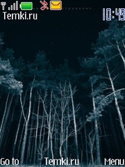Ночной лес для Nokia Asha 300