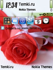 Розы Для Любимой для Nokia E73 Mode