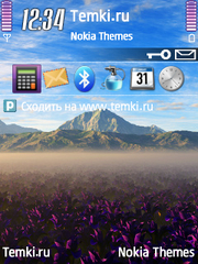 Летний День для Nokia N93i