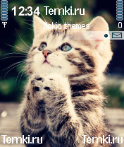 Котенок для Nokia 6670
