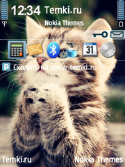 Котенок для Nokia N73