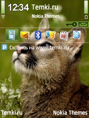 Высматривая жертву для Nokia N73