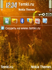 В солнечном свете для Nokia E72