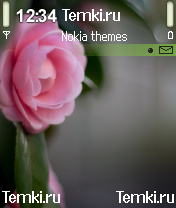 Розовый цветок для Nokia N70