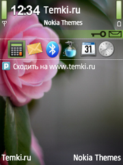 Розовый цветок для Nokia 6120