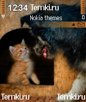 Кошка с собакой для Nokia 6630