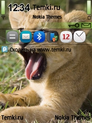 Дикий котёнок для Nokia X5-01