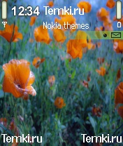 Цветы для Nokia 6600