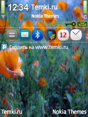 Цветы для Nokia N96