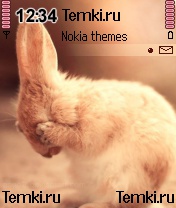 Скриншот №1 для темы Кролик