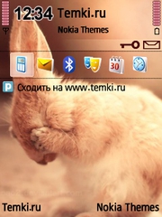 Кролик для Nokia 6760 Slide