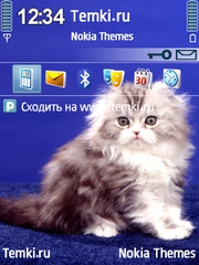 Пьер Безухов для Nokia N93