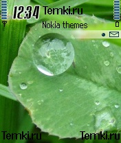 Огромная капля для Nokia N72