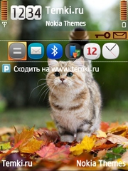 Любознательная кошка для Samsung i7110