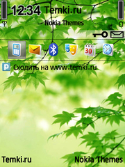 Зеленый навес для Nokia 6760 Slide