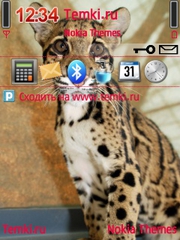 Грустный Котенок Леопада для Nokia 6700 Slide