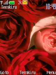 Розы для Nokia 6600 slide