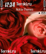 Розы для Nokia 6638