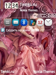 Чревоугодие для Nokia N81 8GB