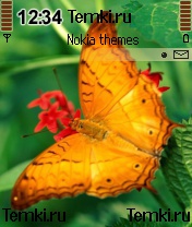 Бабочка на цветке для Nokia 6670