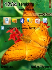 Бабочка на цветке для Nokia X5-01