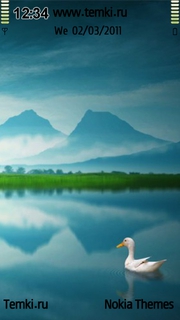 Птица на озере для Nokia 5235 Cwm