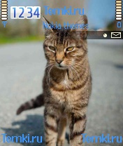Кошка для Nokia 3230