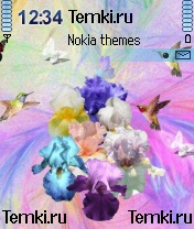 Букет ирисов для Nokia 3230
