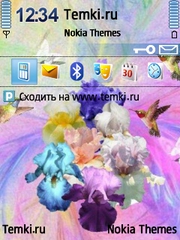 Букет ирисов для Nokia N79