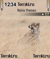 Гепард для Nokia 6638