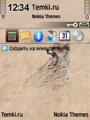 Гепард для Nokia N95 8GB