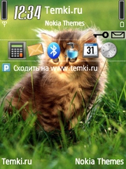 Кошечка для Nokia 5700 XpressMusic